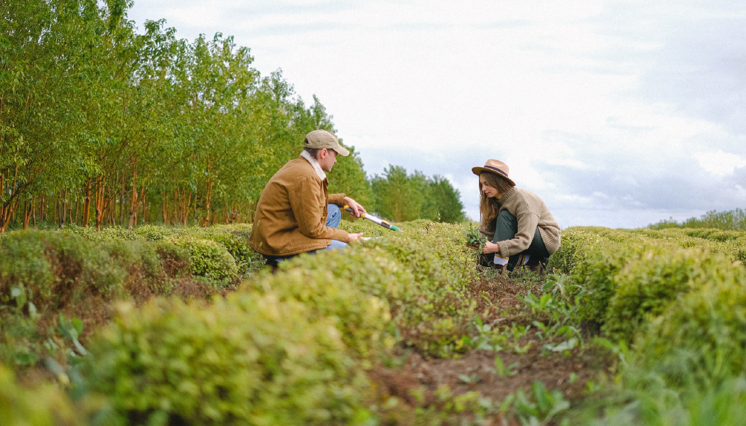 Sembrar crecimiento, cosechar riesgos: la dualidad del agro paraguayo