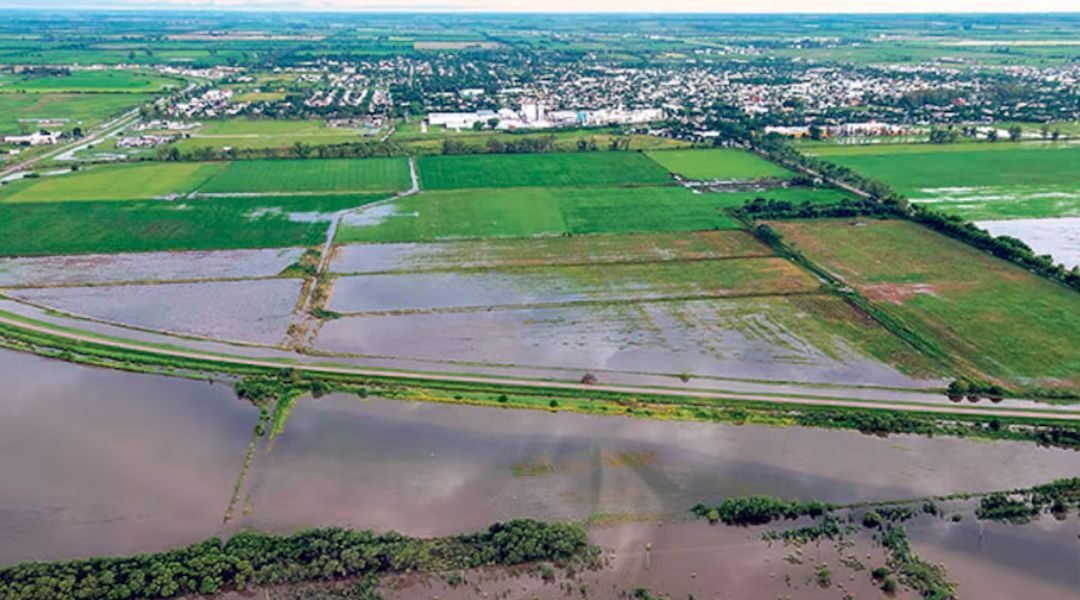 Inundaciones en el Cono Sur: Impacto Económico y Social